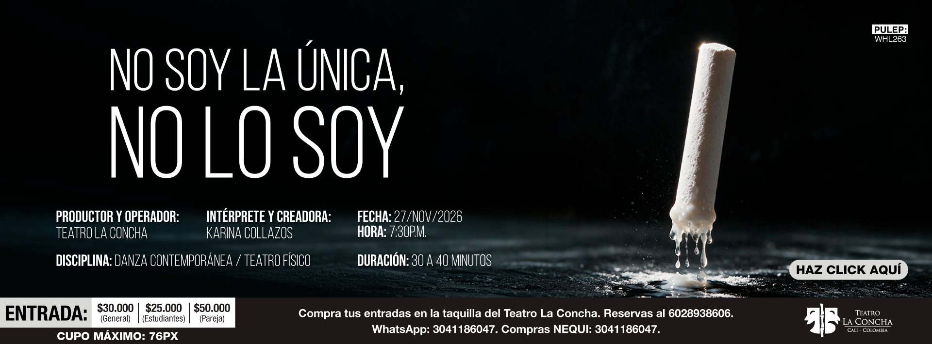 NO SOY LA ÚNICA, NO LO SOY. 27 DE NOVIEMBRE 2026